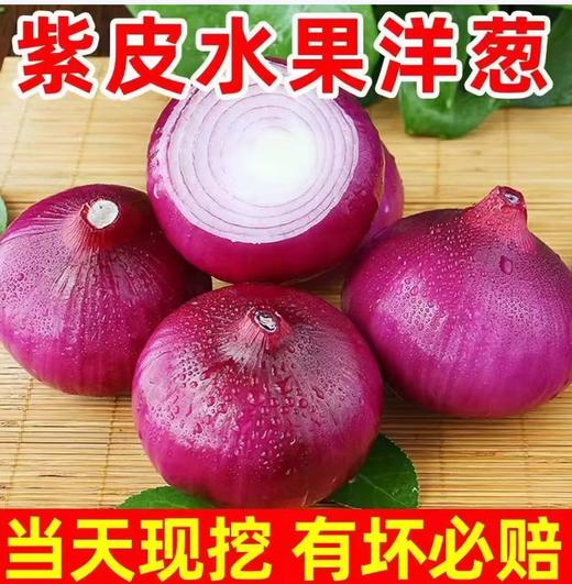 【YC】 新鲜紫洋葱半粒甜味蔬菜农家自种圆葱调味必备鲜脆蔬菜 商品图2
