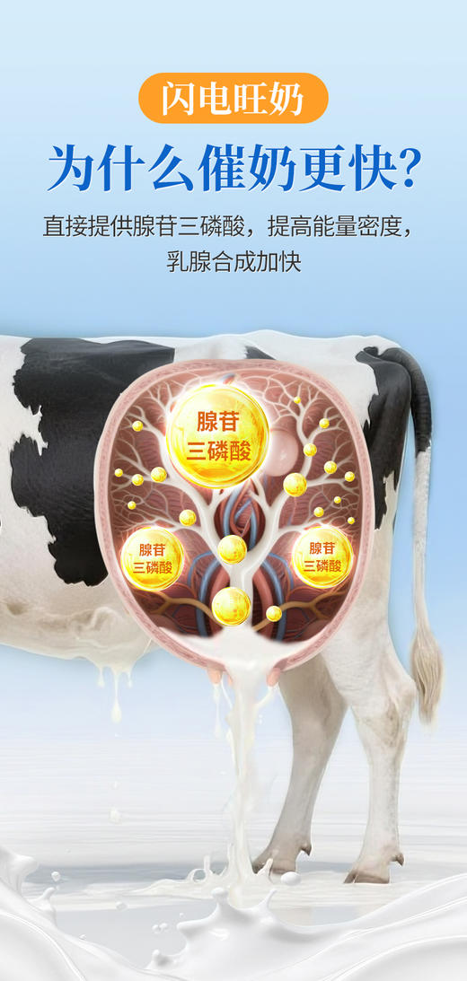闪电旺奶1L 催奶更快 奶质更好 商品图1