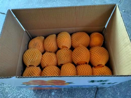 秭归 新溪源 椪柑 商品图6