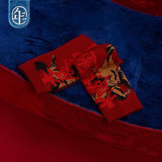 【大展鸿图袜子】年衣童装儿童短袜女童秋冬新款百搭保暖外穿袜子 商品图1