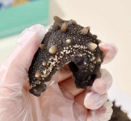 TY 海鲜港即食海刺参598型-参参感谢【鲜享5.0】 商品图1