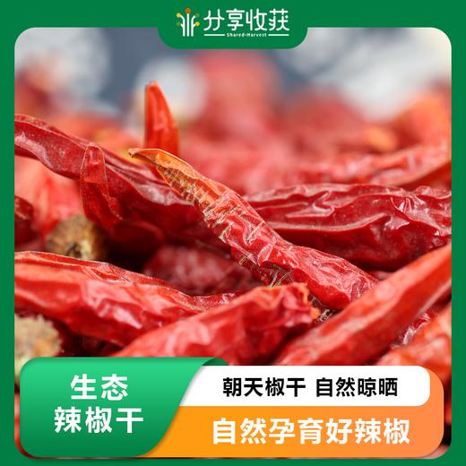 生态辣椒干 | 朝天椒干 自然晾晒 | 石嫣农场 * Ecological Dried Chili Peppers 商品图0