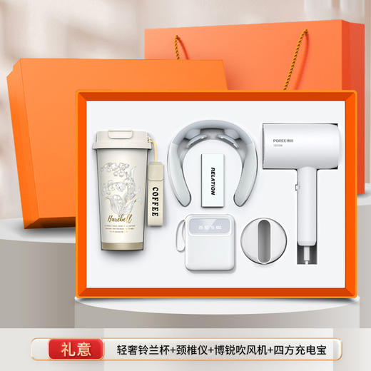 商务礼品套装飞科博锐吹风机伴手礼企业年会礼品实用送客户 商品图0