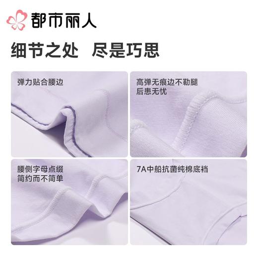都市丽人内裤红品女士内裤60支棉莫内裤木代尔内裤纤柔绵LKC4A201 商品图3
