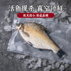 [最农公社]年货节|千岛湖冰鲜生态鳊鱼现杀现发冰鲜鳊鱼500g*2条顺丰发货 商品缩略图2