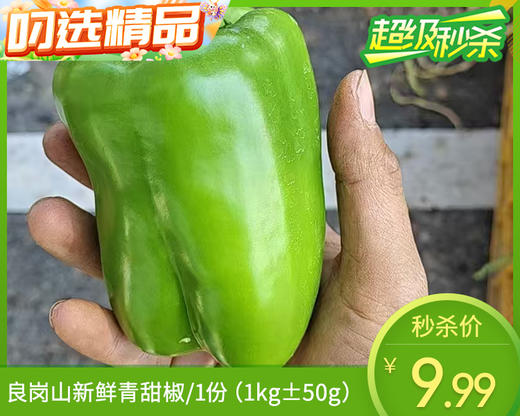 【预售-12月29日配送】良岗山新鲜青甜椒/1份（1kg±50g） 商品图0