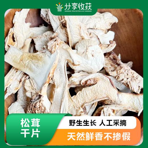 松茸干片 | 野生生长 人工采摘 |公平贸易 * Sliced Dried Matsutake | Fair Trade 商品图0