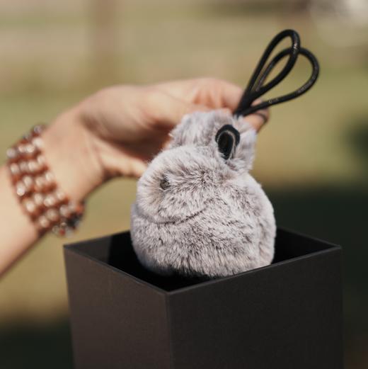 呈白「万物有灵」小藏兽香挂，旷野万物生，藏域瑞兽迎新岁，化身温柔守护 商品图13