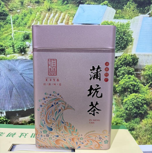10年蒲坑茶铁罐装250g（汇丰） 商品图0