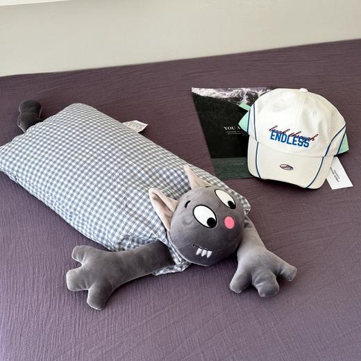 可拆洗！全棉水洗棉卡通儿童荞麦枕芯纯棉水洗棉荞麦枕头午睡枕卡通荞麦枕 商品图1