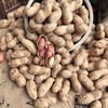 农家铁锅柴火现炒原味花生 商品缩略图1