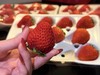 【觅趣小铺·凉山红颜九九草莓-空运】高海拔草莓，零农残承诺，又香又甜，口感十足~ 商品缩略图11