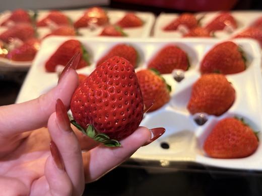 【觅趣小铺·凉山红颜九九草莓-空运】高海拔草莓，零农残承诺，又香又甜，口感十足~ 商品图11