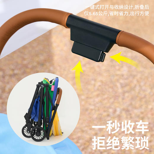 zeze一键折叠式宠物推车（轻便）-（包邮）-B 商品图1