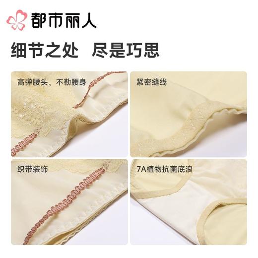 都市丽人内裤红品双拉内裤塑身中腰平角内裤舒软挺塑内裤LPC9A101 商品图3