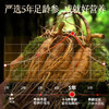 雷允上加拿大西洋参排片100g/盒（2-3cm) 商品缩略图6