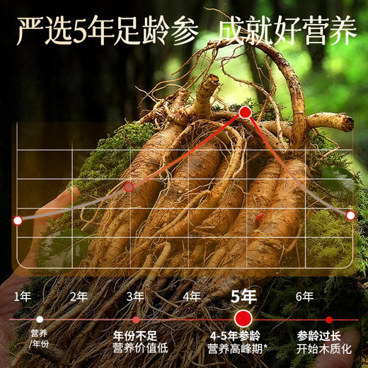 雷允上加拿大西洋参排片100g/盒（2-3cm) 商品图6