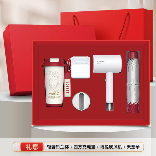 商务礼品套装飞科博锐吹风机伴手礼企业年会礼品实用送客户 商品图4