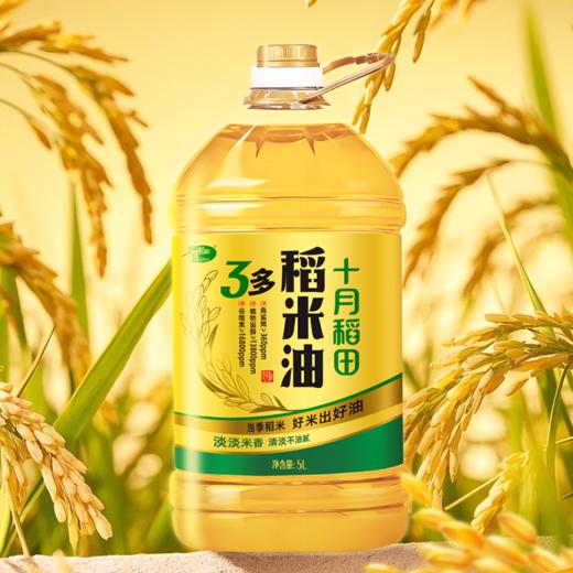十月稻田 稻米油5L 商品图1