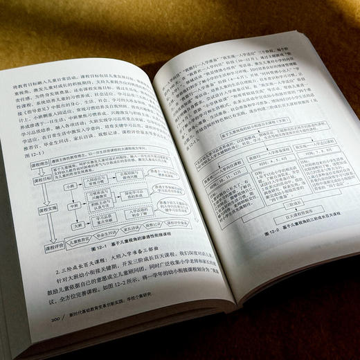 新时代基础教育变革创新实践 学校个案研究 大夏书系 学校领导力 张洁 商品图13