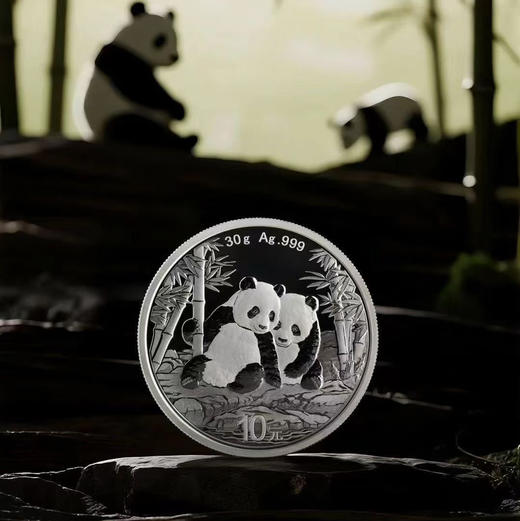 2026版熊猫普制银币30克 商品图0