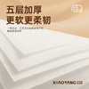 【小杨臻选】无芯卫生卷纸家用手纸5层加厚到手30卷 商品缩略图5
