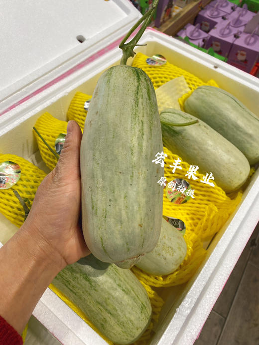 【宏丰精选】 蜜园18号甜瓜 香味浓郁，口感甜，很细腻，活动价‼️12.8一斤 商品图2