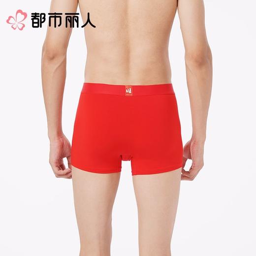 都市丽人内裤红品男士内裤60S木莱尔内裤人棉平角明筋FKCC0601 商品图2