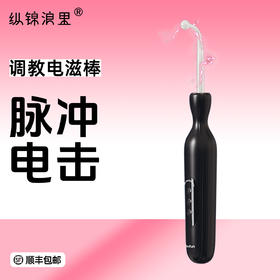 roomfun房趣 电滋棒