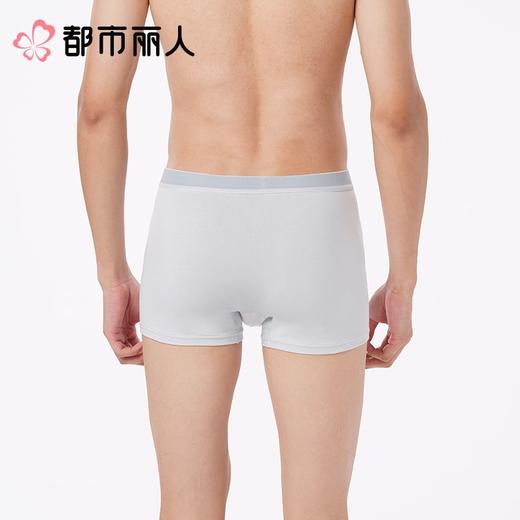 都市丽人内裤红品男士内裤50S水柔棉内裤棉平角明筋内裤FKCC0201 商品图3