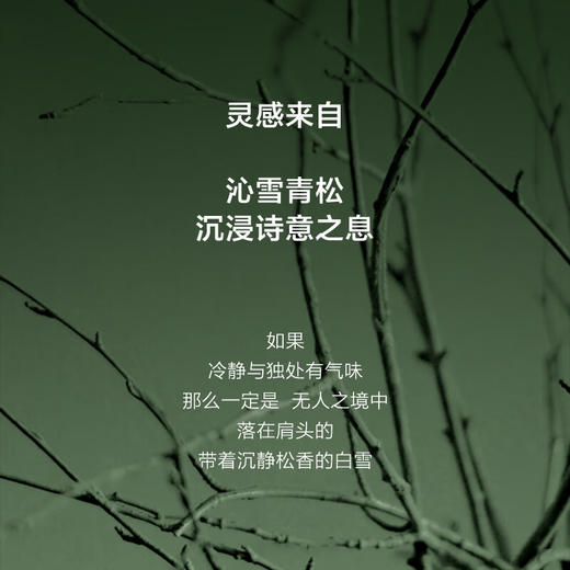 美穗吉家 大师调香无火香薰-密境雪松100ml 商品图4