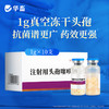 华畜 1.0g注射用头孢噻呋钠*10支 真空头孢冻干粉 疏松多孔 致敏性低 商品缩略图0