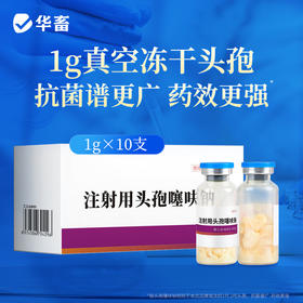 华畜 1.0g注射用头孢噻呋钠*10支 真空头孢冻干粉 疏松多孔 致敏性低