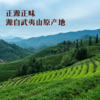 八马茶业｜福建武夷山红茶四大茗著·金骏眉茶叶200g 罐装 商品缩略图3