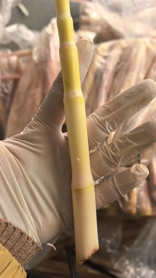 临安小笋5.8元1袋约2斤，明天到 商品图3