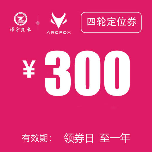 温岭极狐 四轮定位券 商品图0