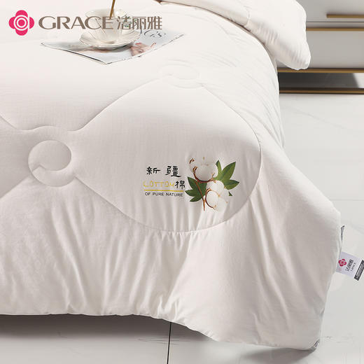 洁丽雅丨云朵棉花被 JLY-YHE209 商品图0