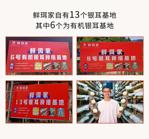 鲜珥家燕窝银耳羹 商品图10