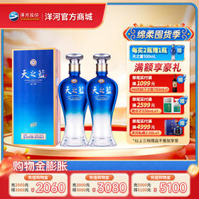洋河 天之蓝 21版本 42度 480mL 浓香型白酒