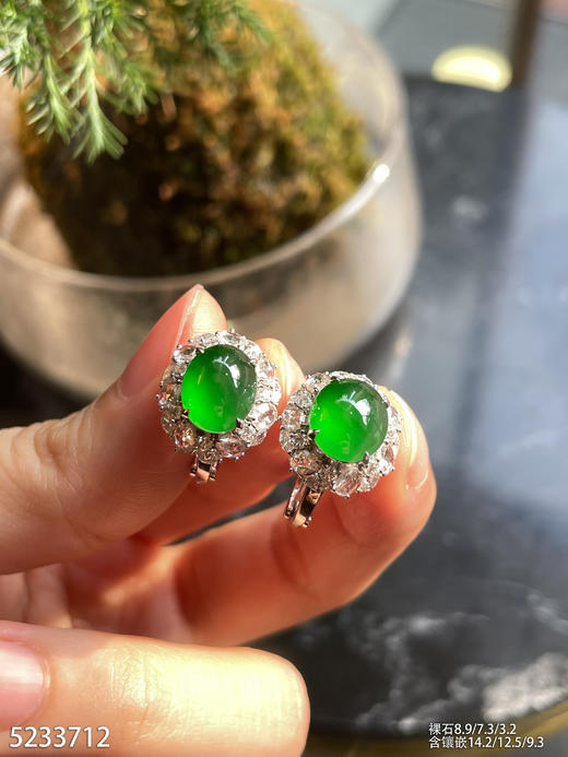 老坑帝王绿蛋面耳钉【5233712】具体价格微信咨询 商品图5