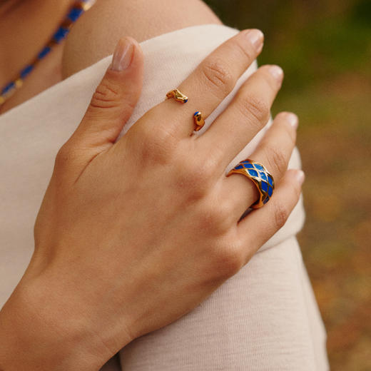 BM大英博物馆限量联名系列 | 苏美圣蛇耳环两件套 商品图4