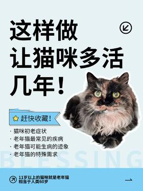 这样做让猫咪多活几年！