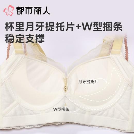 都市丽人内衣红品加加厚薄文胸蕾丝内衣四排四扣无钢圈LJC1A101 商品图7