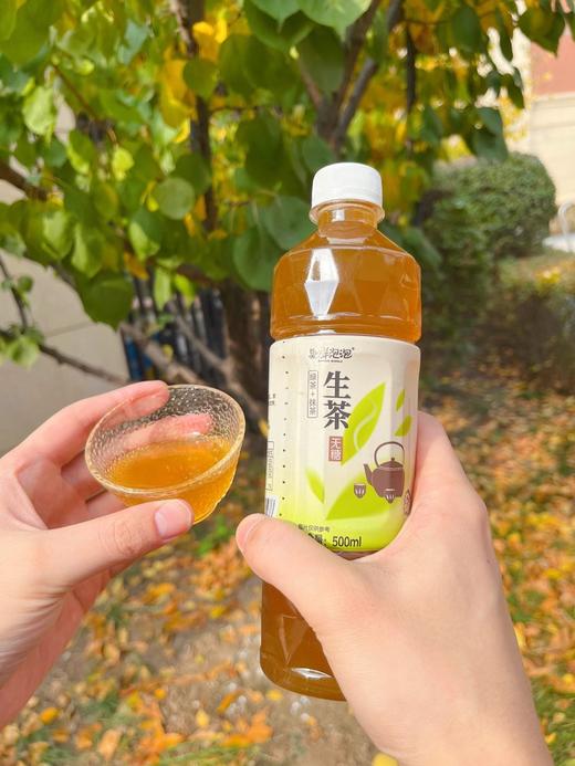 【别样泡泡生茶500ml/瓶】清仓15瓶💰24.9，三种口味！品牌直发！ 🔻生茶/栀子乌龙茶/茉莉花茶 ✅原创生茶配方，茶味正不涩口  商品图4