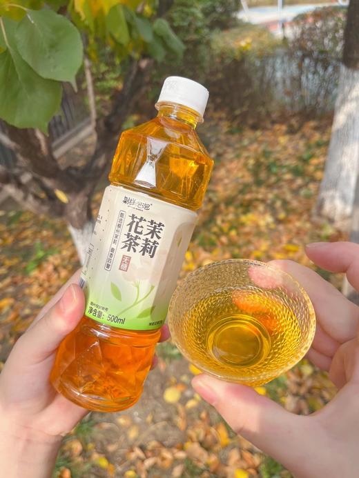 【别样泡泡生茶500ml/瓶】清仓15瓶💰24.9，三种口味！品牌直发！ 🔻生茶/栀子乌龙茶/茉莉花茶 ✅原创生茶配方，茶味正不涩口  商品图10