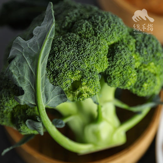 生态西兰花 | 绿家自产*Ecological broccoli | In-House Production 商品图4