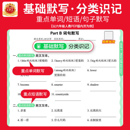 2026春下王朝霞少而精活页英语默写3-6年级英语 商品图2