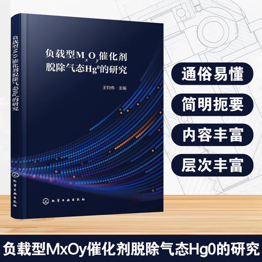负载型MxOy催化剂脱除气态Hg0的研究 商品图0