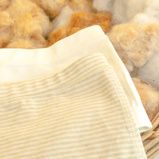 【中小女童平角内裤2条装】95%棉，素道有机彩棉-A类中小女童透气平角裤（基地直发-申通包邮），来自敦煌，品牌：素道【合作生产，公平贸易】 商品图1