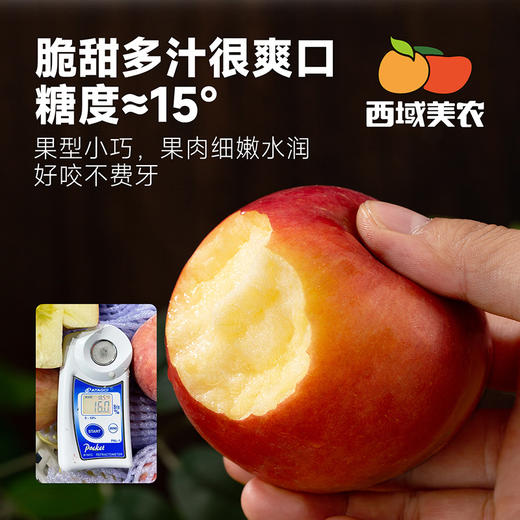 西域美农 瑞香红苹果 新疆疆樱桃苹果 商品图6